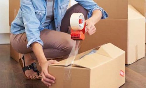 Logistic & Supply Chain